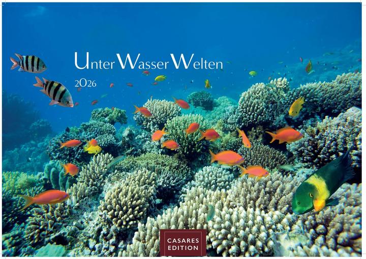 Produktbild Unterwasserwelten 2026 S 24x35cm (24 x 35 cm, Deutsch)