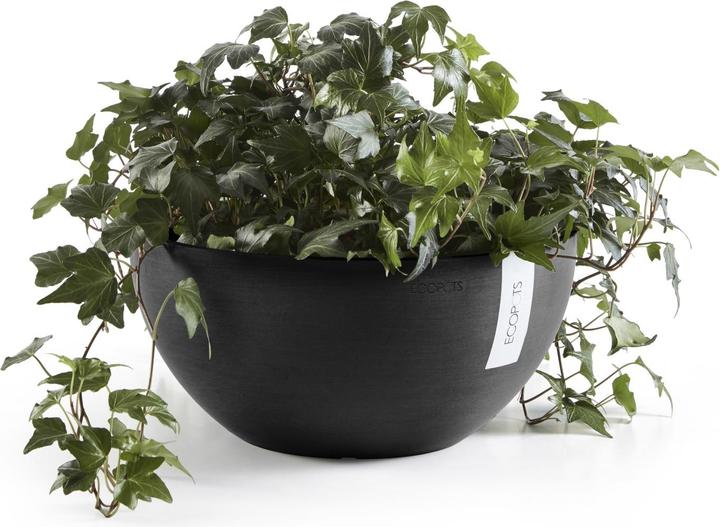 Actual product image Ecopots Brussels (30 cm)