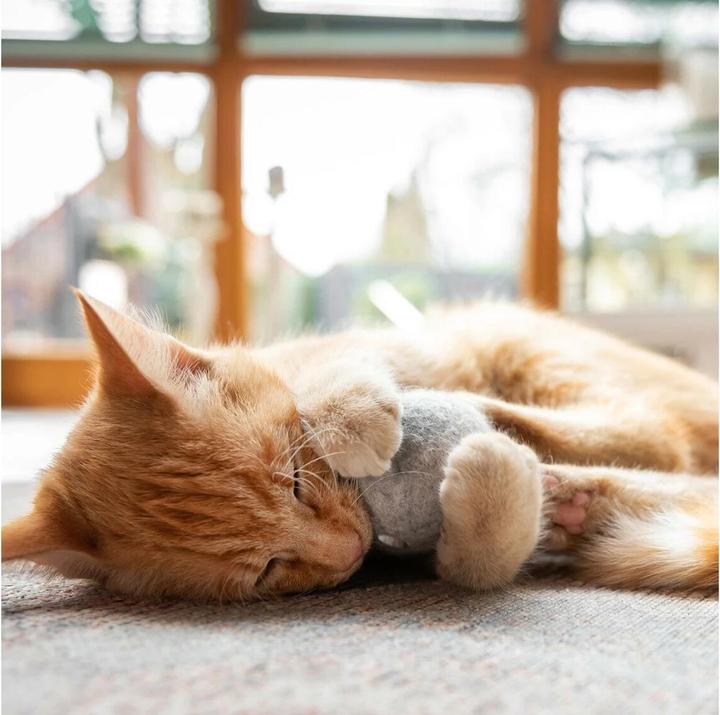 Actual product image CanadianCat Cat toy felt ball with scent bag (Cat ball toy)