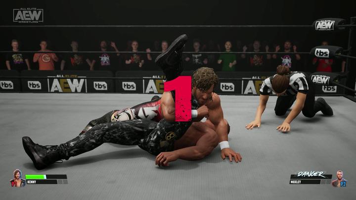 Image du produit THQ AEW : Fight Forever (PS4, PS5, DE)