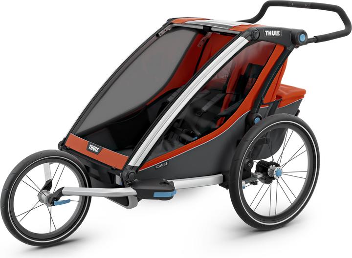 Actual product image Thule Chariot Cross 2