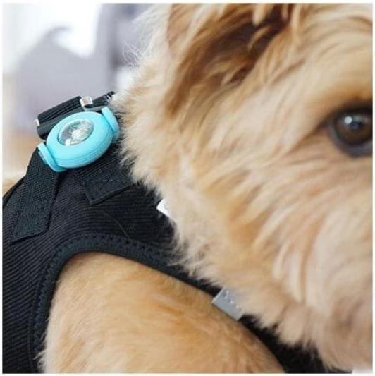 Produktbild Curli Luumi LED Blau (Hund, Hundesport)