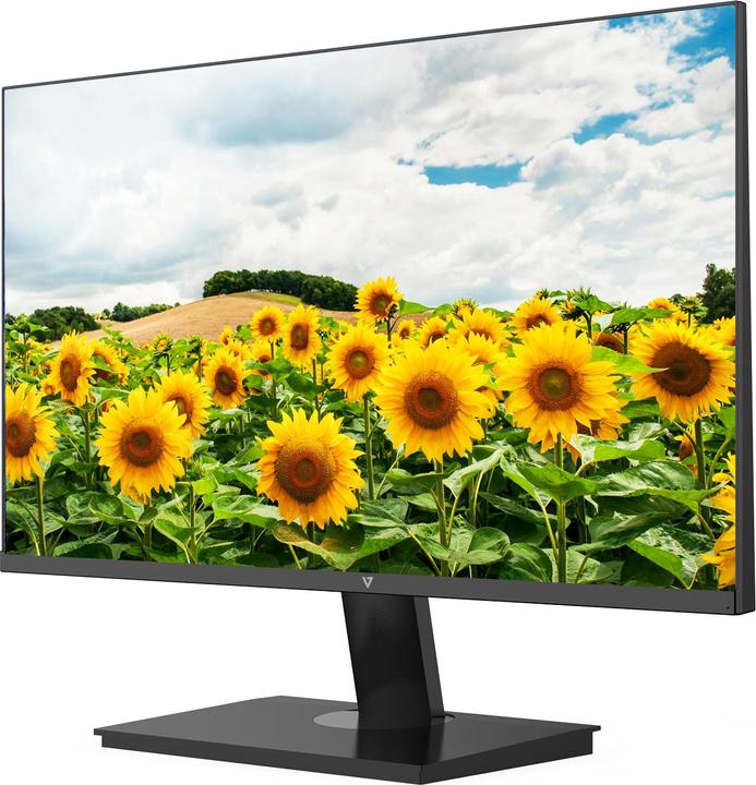Actual product image V7 23.8IN FHD IPS MONITOR HDMI (1920 x 1080 pixels, 23.80")