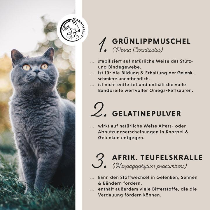 Produktbild Annimally Gelenk Komplex (Adult, Senior, 1 Stk., 120 g)