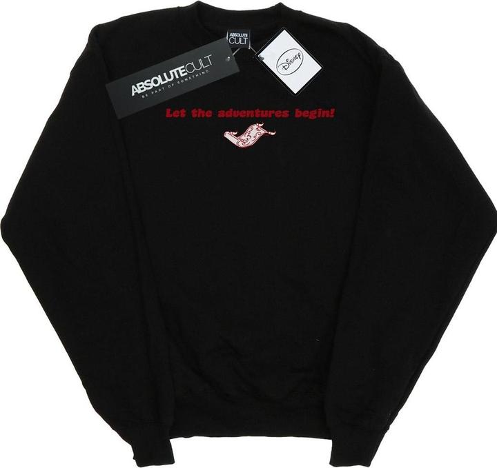 Disney Aladdin Let The Adventures Begin Sweatshirt (L)