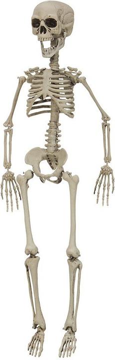 Joker Halloween - Skeleton 76 cm (90091)