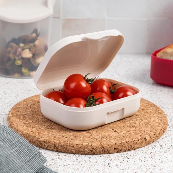 Actual product image Amuse Snackbox klein Basic