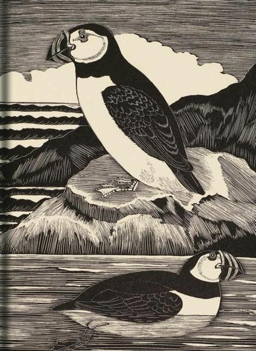 Produktbild Daglish:Birds Journal (Englisch, Eric Fitch Daglish, 2021)