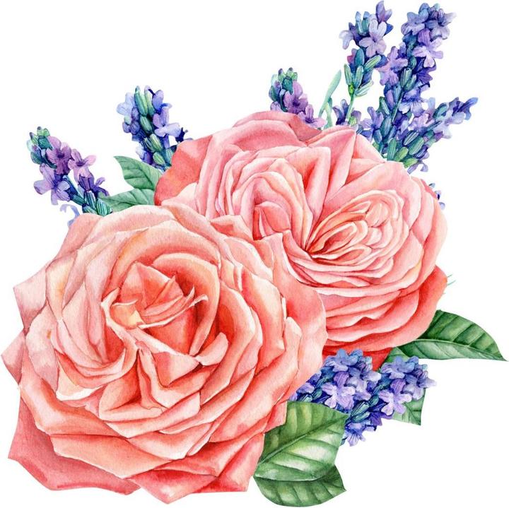 Immagine prodotto Trenddeko Rose Harmony rosé XXL (80 x 80 cm)