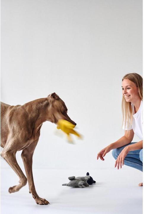 Productafbeelding Hunter Hondenspeelgoed Eiby Walvis (Pluche speelgoed hond)