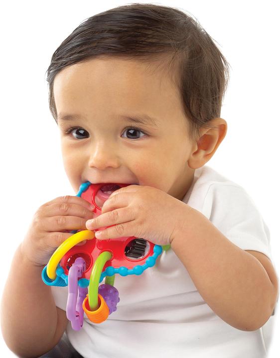Image du produit Playgro Hochet de rond-point