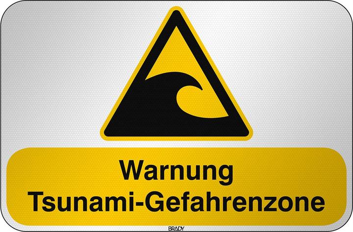Image du produit Brady W/W056/DE364/RFL-590X390-1, ISO Panneau de sécurité - Avertissement de zone de danger de tsunami,