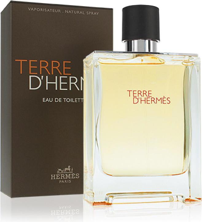 Actual product image Hermès Terre d' (Eau de toilette, 100 ml)