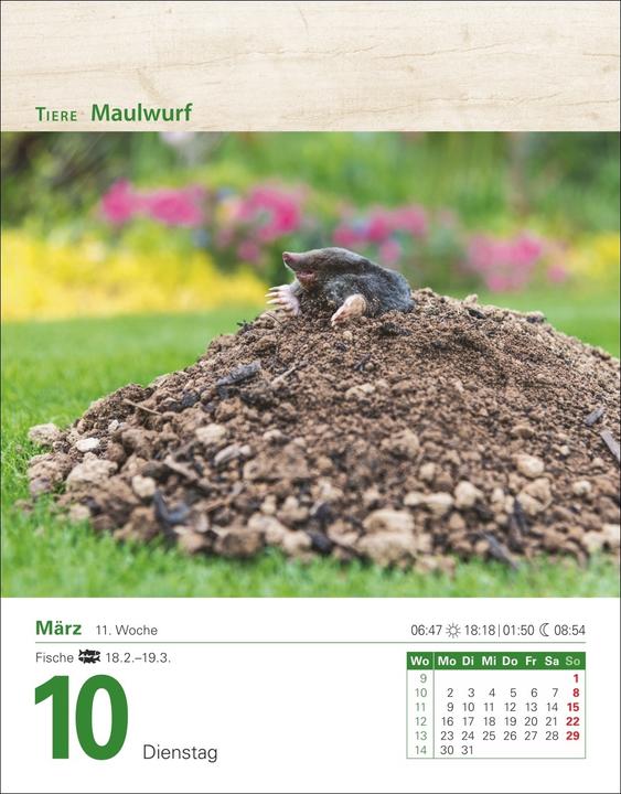 Produktbild Harenberg Mein Garten Tagesabreisskalender 2026 - Praktische Tipps für 2026 (Deutsch)