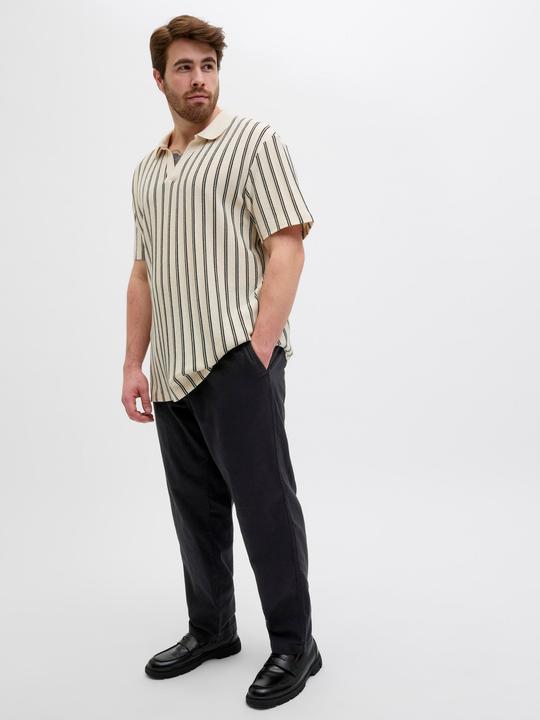 Image du produit Jack & Jones Plus Size Relaxed Fit Relaxed Fit Hosen Relaxed Fit Hosen (48)