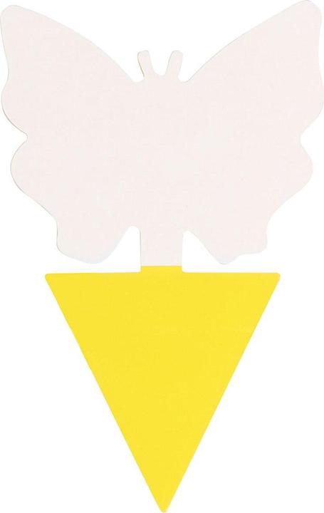 Actual product image Flypaper
