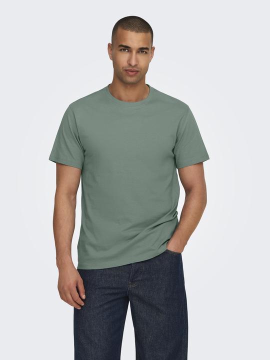Actual product image Only & Sons Onsmax Life Ss Stitch Tee Noos (L)
