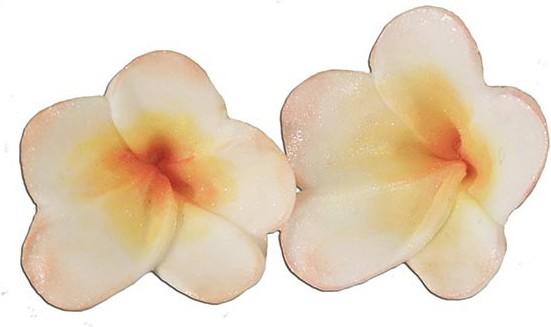 Actual product image Blossom Sugar Art Frangipani embossing set