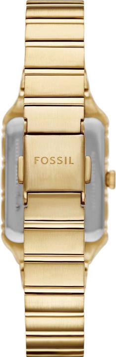 Immagine prodotto Fossil Damenuhr RAQUEL (Orologio da polso analogico, 23 mm)