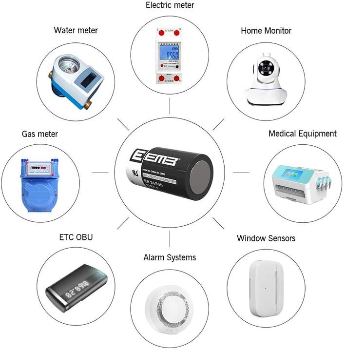 Actual product image Eemb ER26500 (10 pcs., C, 9000 mAh)