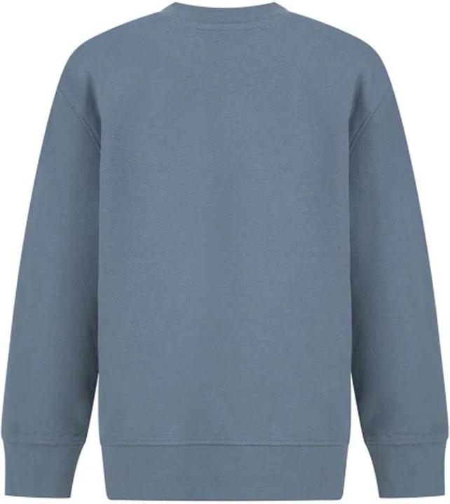 Actual product image SF Childrens/Kids Curved Hem Sweatshirt (128)