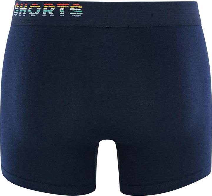 Actual product image Phil & Co. Berlin Retro Pants All Styles (M, pack of 4)