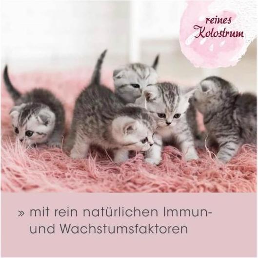 Produktbild cdVet feliTATZ ImmunKraft für Katzen (Senior, 1 Stk., 30 g)