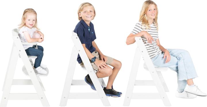 Immagine prodotto Roba Seggiolone per scale (Seggiolone)