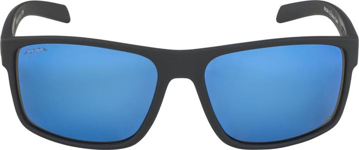 Actual product image ALPINA SPORTS Nacan I Pole