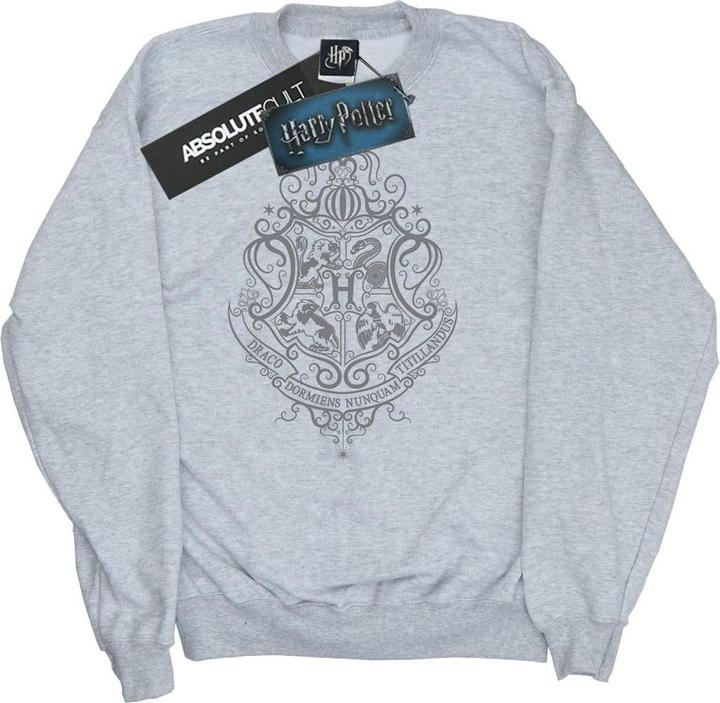 Hogwarts Draco Dormiens Crest Sweatshirt Mädchen