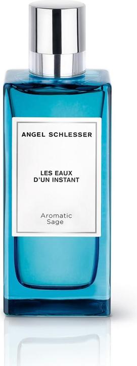 Angel Schlesser Instant Aromatischer Salbei EDT 100ml (Eau de Toilette, 100 ml)