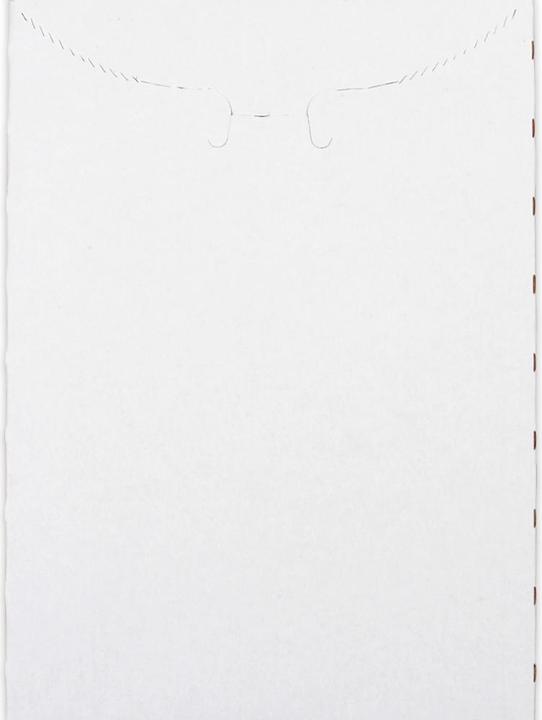 Immagine prodotto Elco Scatola di spedizione B5 bianca (174 x 245 x 20 mm, 25 x)