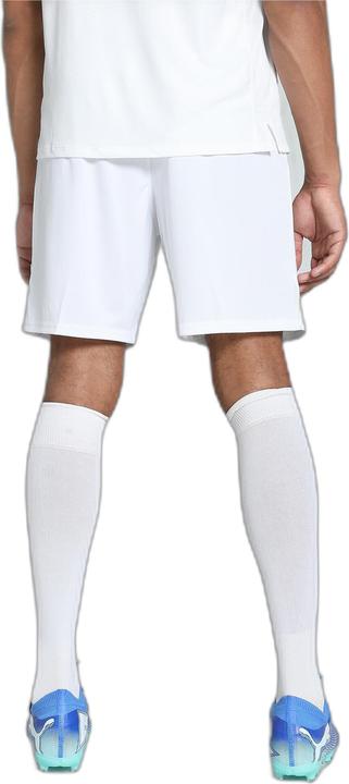 Actual product image Puma teamGOAL shorts (S)