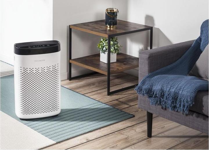 Immagine prodotto Rowenta Pure Air Essential PU2530F0 (90 m²)