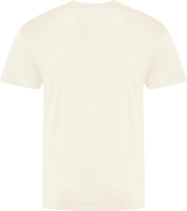 Actual product image Awdis The 100 Tshirt (XXL)