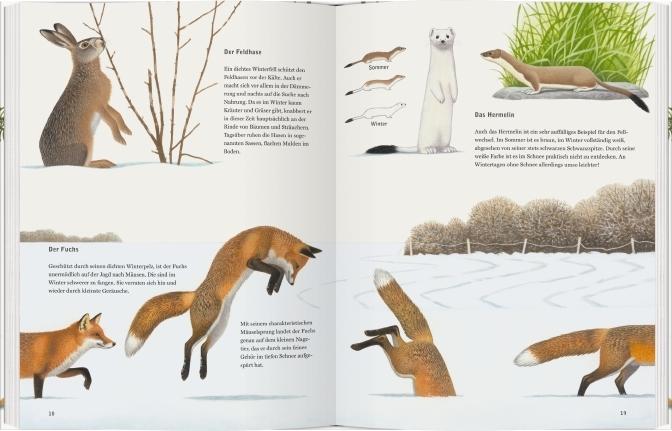 Actual product image Schneehuhn, Reh und Haselmaus (German, Thomas Mueller, 2017)