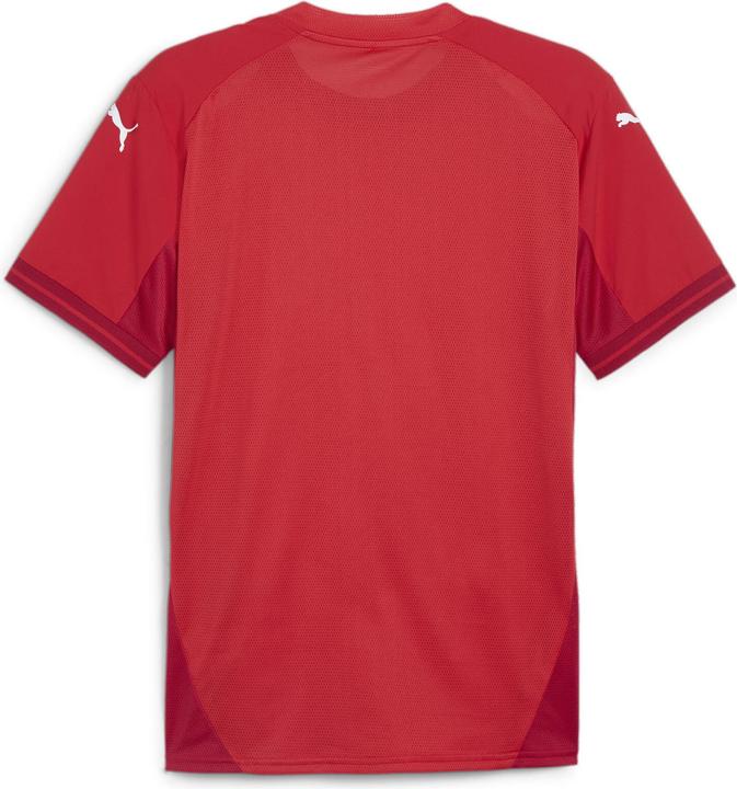 Actual product image Puma teamFINAL Jersey (L)