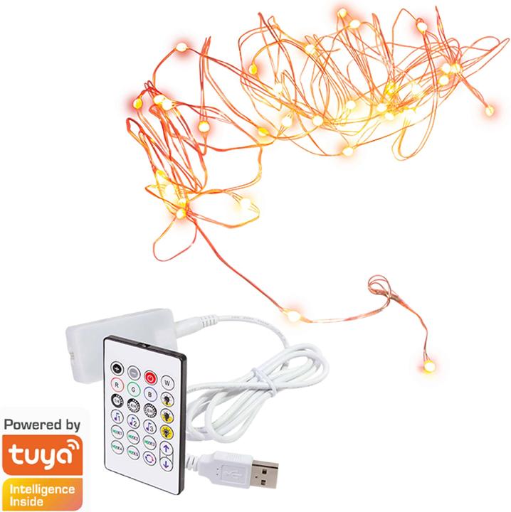 Actual product image LogiLink Wi-Fi Smart RGB light chain with remote control, Tuya compatible, 5 m (5 m)