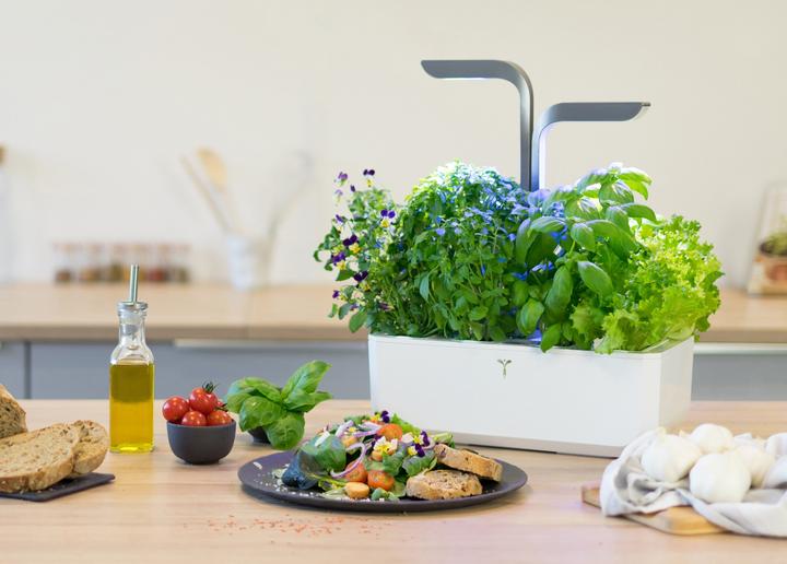 Image du produit Véritable Connect Indoor Garden (18 cm)