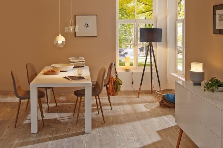 Productafbeelding Paulmann Rustika (E27, 6.50 W, 680 lm, 1 x, F)