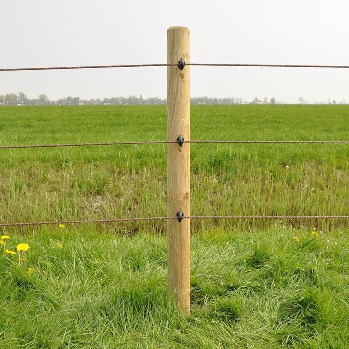 Produktbild Gallagher Isolatoren für Elektrozaun mit Schrauben bs Holz