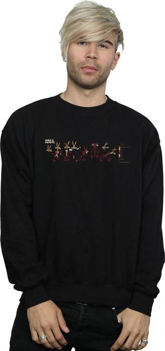 Produktbild Looney Tunes Wile E Coyote Colour Code Sweatshirt (XL)