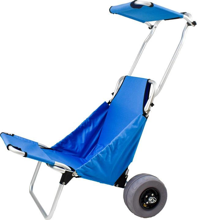 Actual product image 9WS Chariot Sige de plage