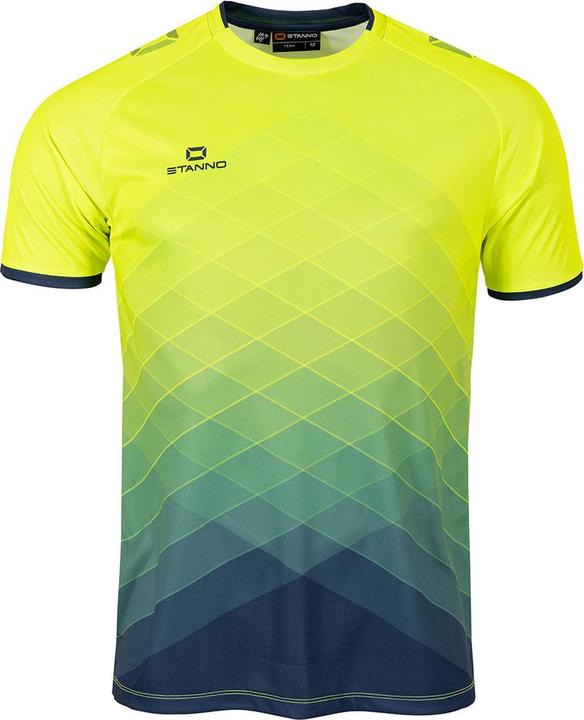 Stanno Altius Trikot (176)