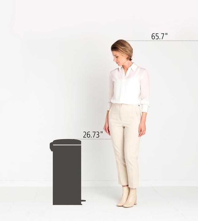 Image du produit Brabantia Newlcon (30 l)