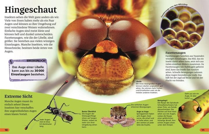 Produktbild Superchecker! Insekten (Deutsch, Andrea Mills, Wolfgang Beuchelt, Brigitte Rüssmann, 2022)