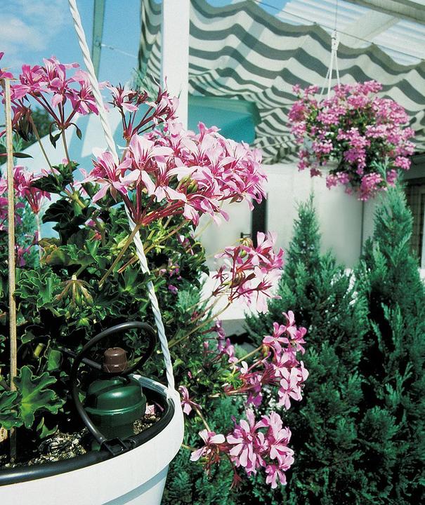 Actual product image Blumat Drip set 10m (Drip irrigation set)