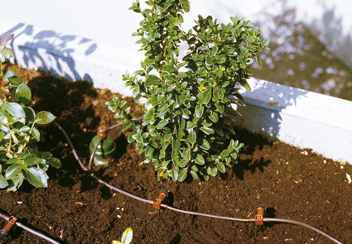 Actual product image Blumat Drip set 10m (Drip irrigation set)