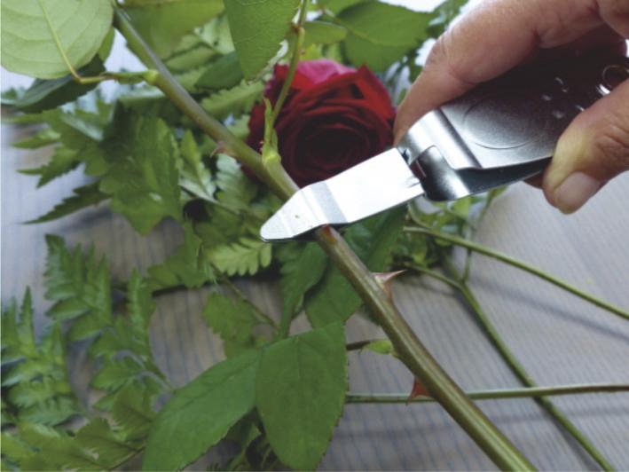 Produktbild Garten Primus Rosenentdorner, L„nge: 145 mm (14.50 cm)