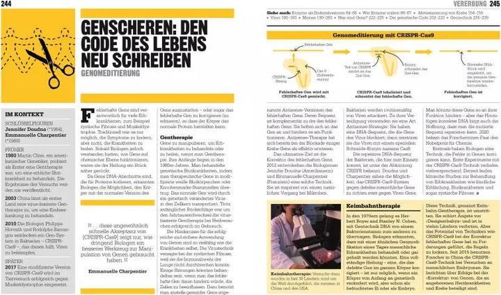Produktbild Big Ideas. Das Biologie-Buch (Deutsch, Robert Snedden, Robert Dinwiddie, Tom Jackson, Judith Rauch, Tim Harris, Derek Harvey, John Farndon, Steve Parker, Michael Bright, Mary Argent-Katwala, Martin Kliche, Gretel Guest, 2022)